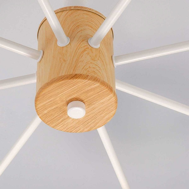 Потолочная люстра Eurosvet 70085/8 белый изображение 2 Потолочная люстра Eurosvet 70085/8 белый Фото № 2