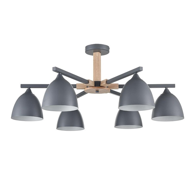 Потолочная люстра Lumion Moderni Colange 8096/6C Фото № 1