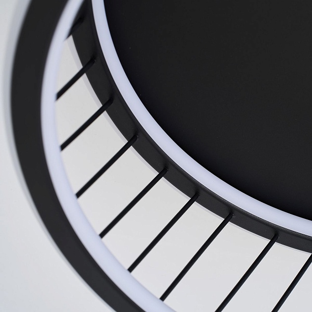 Потолочный светильник F-Promo Korg 4436-2C Фото № 2