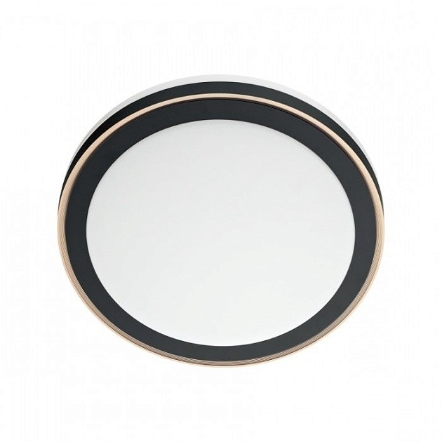 Настенно-потолочный светодиодный светильник Sonex Akuna 7621/DL Фото № 1