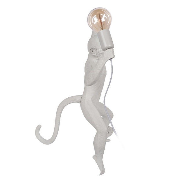 Настенный светильник Loft IT Monkey 10314W/A Фото № 3