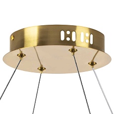 Люстра подвесная Vidare Lightstar 699083 2