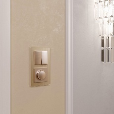 Выключатель двухклавишный Werkel шампань W1120011 4690389157134 4