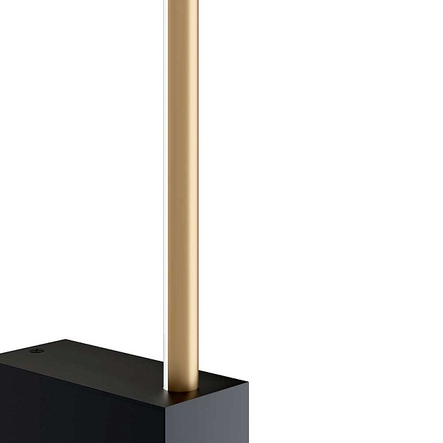 Настенный светильник Maytoni Technical Pars C071WL-L12GB3K Фото № 2