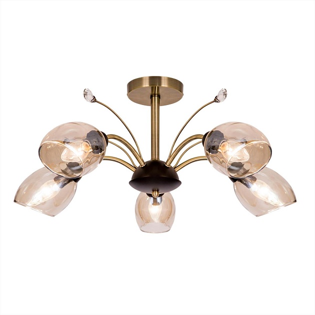 Потолочная люстра Citilux Комета CL108155 изображение 1 Потолочная люстра Citilux Комета CL108155 Фото № 1