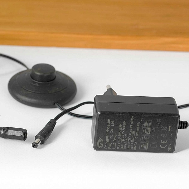 Торшер Lussole LOFT MODESTO LSP-0905 Фото № 2