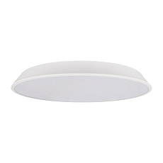 Потолочный светодиодный светильник Loft IT Brim 10226 White