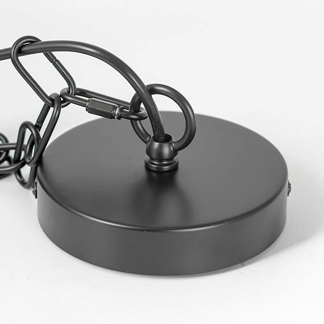 Подвесная люстра Lussole LOFT FREMONT LSP-8817 Фото № 4