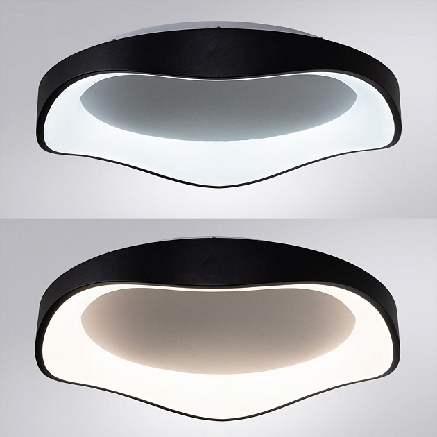 Потолочный светодиодный светильник Arte Lamp Ankaa A3085PL-56BK Фото № 3