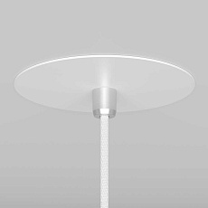 Подвесной светильник Maytoni Nevill P318-PL-01-W 2