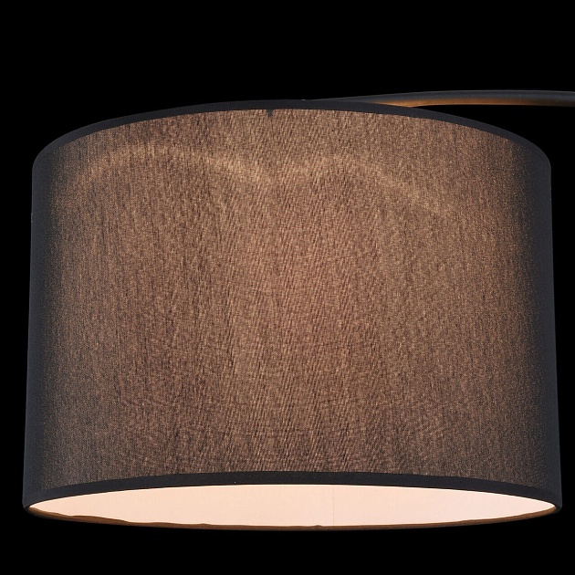 Торшер Maytoni Nevada Z328-FL-01-B Фото № 7