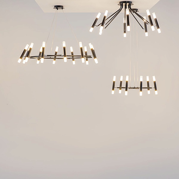 Потолочная люстра Maytoni Vigo MOD620CL-16B Фото № 2