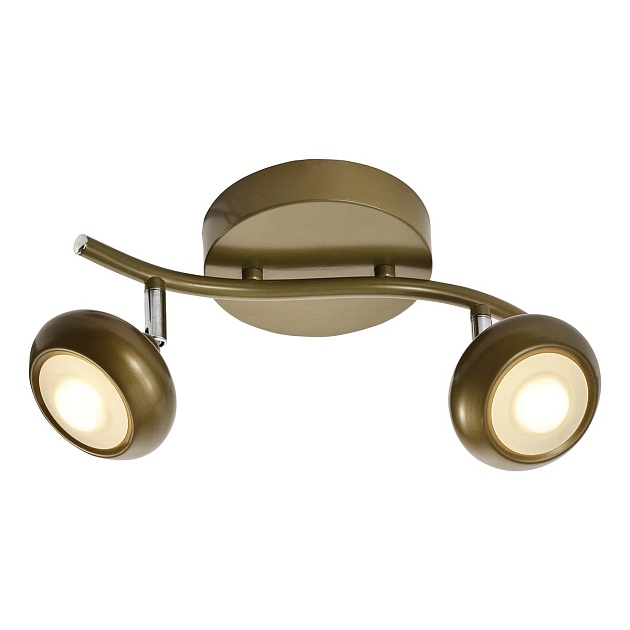 Светодиодный спот Toplight Carissa TL1244Y-02SG Фото № 1