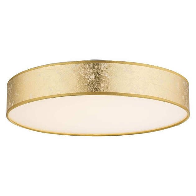 Потолочный светодиодный светильник Globo Amy 15187D2 Фото № 1