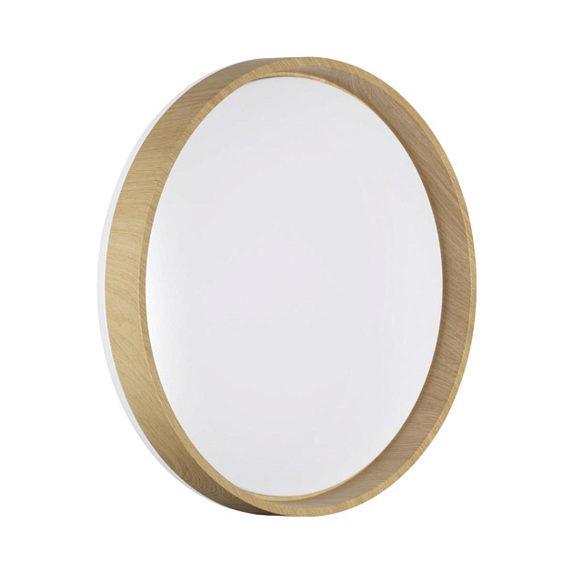 Настенно-потолочный светильник Sonex BASICA 7684/ELN Фото № 1