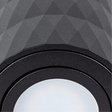 Потолочный светильник Arte Lamp Fang A5559PL-1BK 2