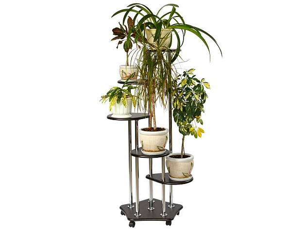 Подставка для цветов Мебелик Пятерочка 006656 изображение 4 Подставка для цветов Мебелик Пятерочка 006656 Фото № 4