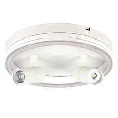 Потолочный светодиодный светильник Escada 20044SMA/03LED WH