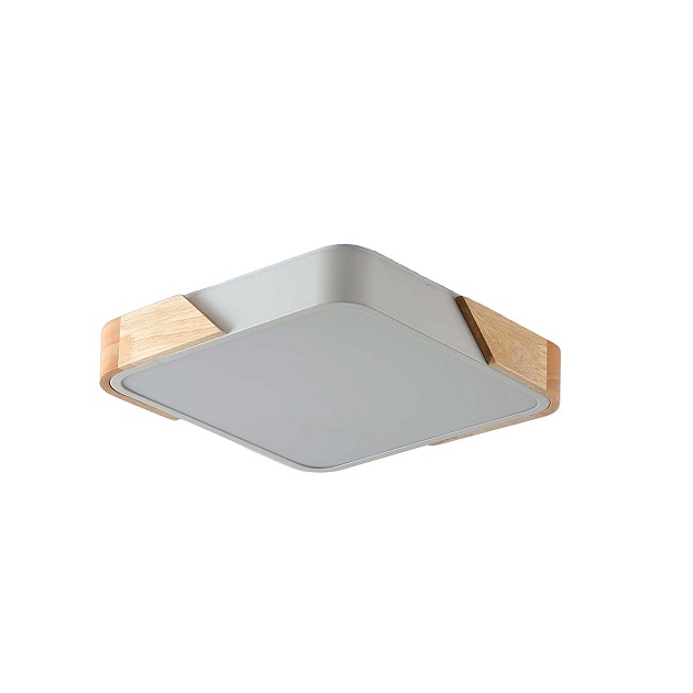 Потолочный светильник Zortes ALBERRO ZRS.01285.48 Фото № 1