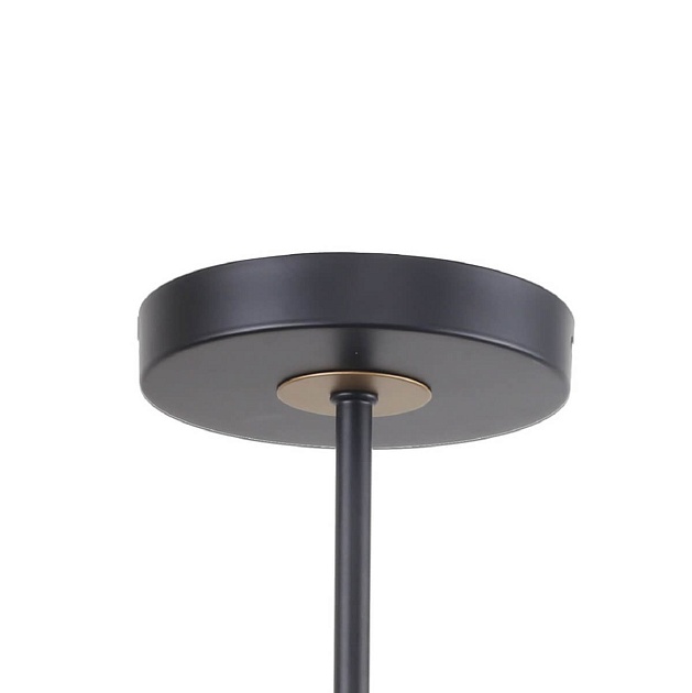 Потолочная люстра F-Promo Rigor 2844-8P Фото № 3