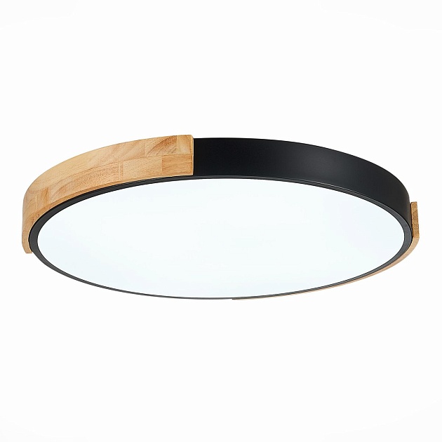 Потолочный сетодиодный светильник Evoluce Delia SLE201342-01 Фото № 3