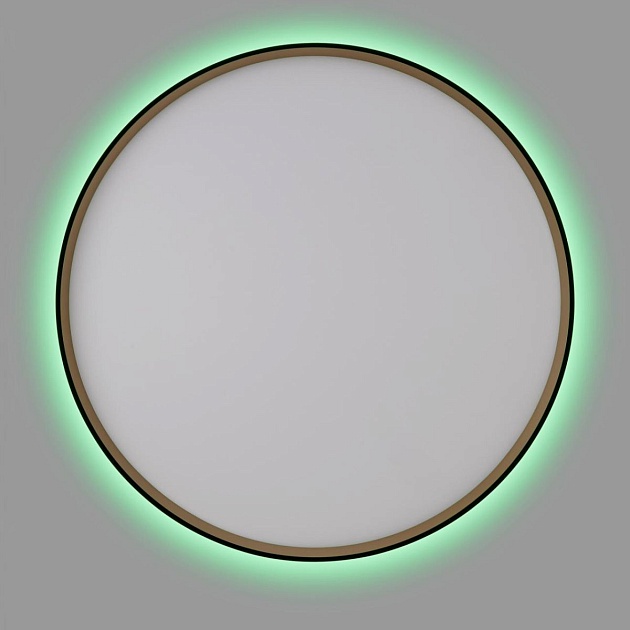 Светильник с пультом Citilux ETALON CL750501R Фото № 11