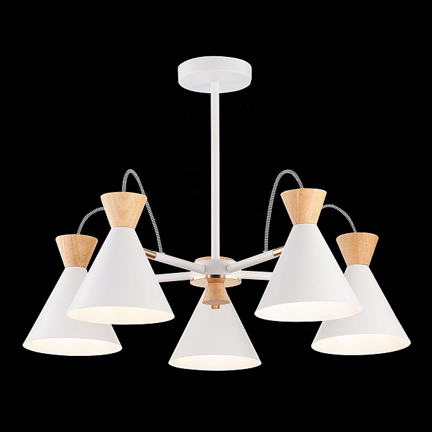 Потолочная люстра Evoluce Modica SLE125102-05 Фото № 4