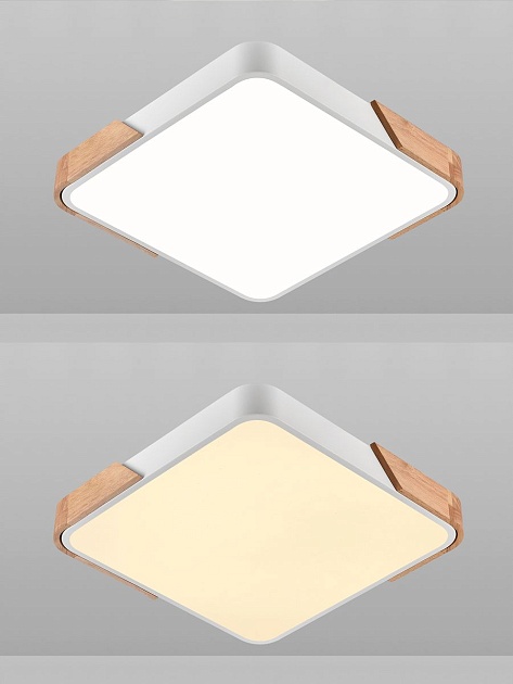 Потолочный светодиодный светильник Natali Kovaltseva LED LAMPS 81410 изображение 5 Потолочный светодиодный светильник Natali Kovaltseva LED LAMPS 81410 Фото № 5