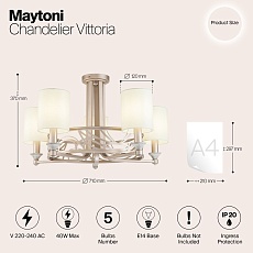 Потолочная люстра Maytoni Vittoria H004CL-05BG 1