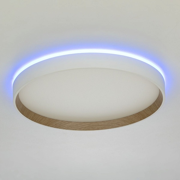 Потолочный светодиодный светильник Citilux Etalon CL750320R Фото № 13