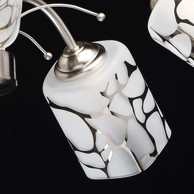 Потолочная люстра MW-Light Олимпия 261019505 Фото № 2