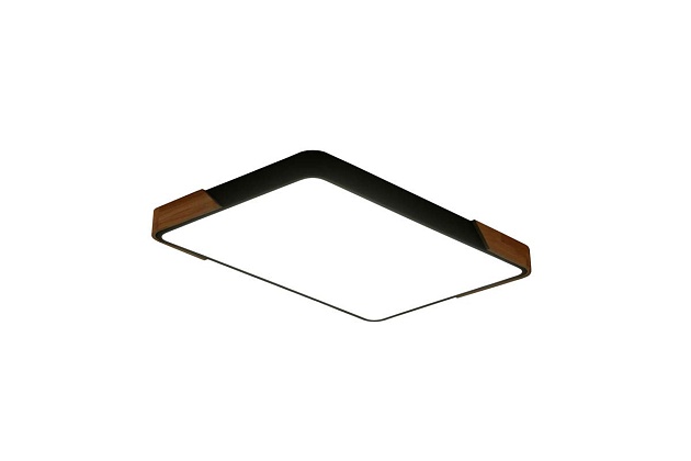 Потолочный светильник Zortes ALBERRO ZRS.01244.60 Фото № 4