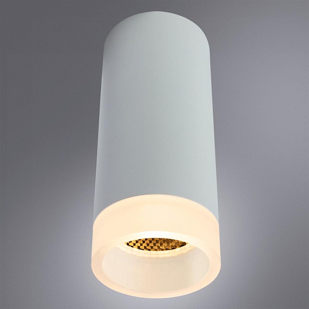 Потолочный светильник Arte Lamp Ogma A5556PL-1WH Фото № 4
