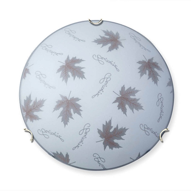 Настенно-потолочный светильник Vitaluce V6285/2A Фото № 1