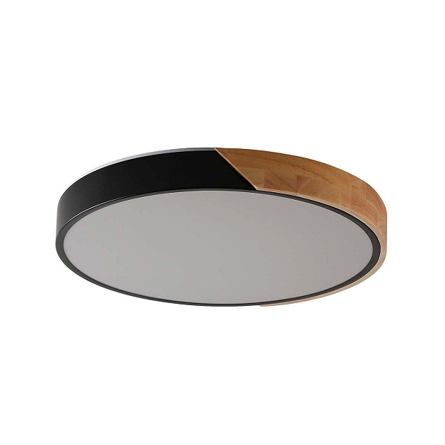 Потолочный светильник Zortes ALBERRO ZRS.01287.48 Фото № 1