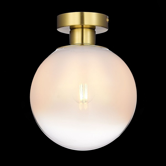 Потолочный светильник ST Luce Cassius SL1190.202.01 Фото № 4