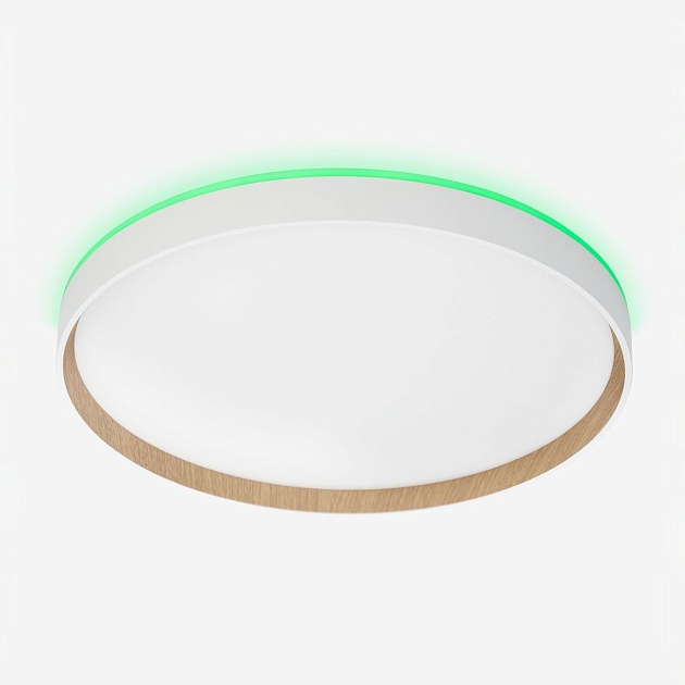 Потолочный светодиодный светильник Citilux Etalon CL750400R Фото № 16