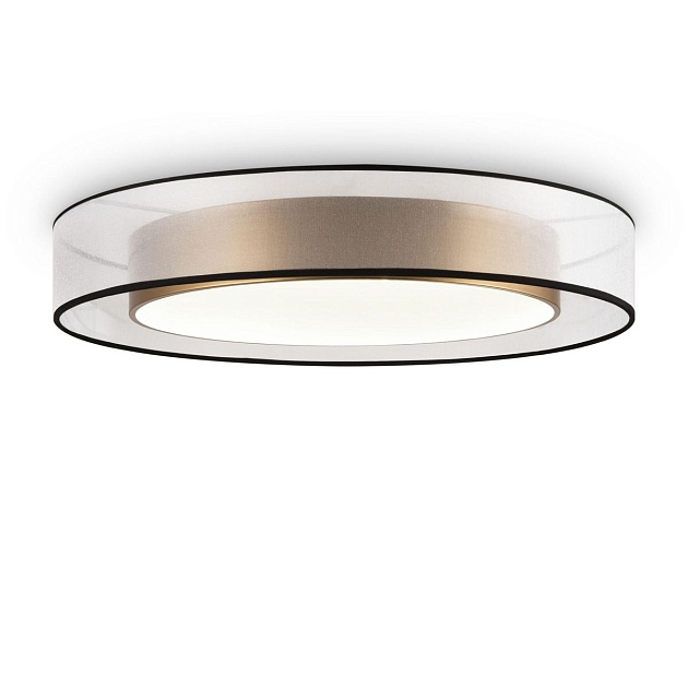 Потолочный светодиодный светильник Freya Zoticus FR6005CL-L48G Фото № 1