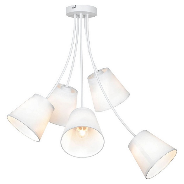 Подвесная люстра Lussole Lgo Lafayette GRLSP-8267 изображение 1 Подвесная люстра Lussole Lgo Lafayette GRLSP-8267 Фото № 1