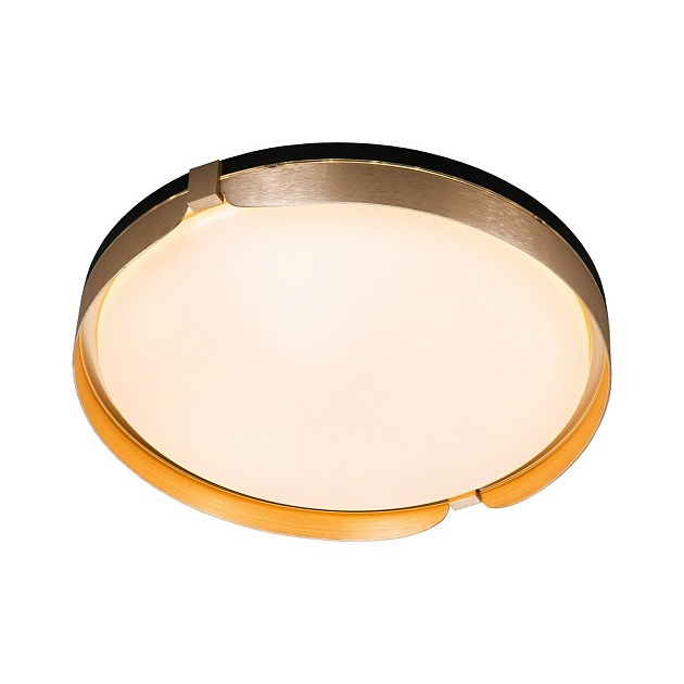 Потолочный светодиодный светильник Gerhort G61240/1GD WT Фото № 2