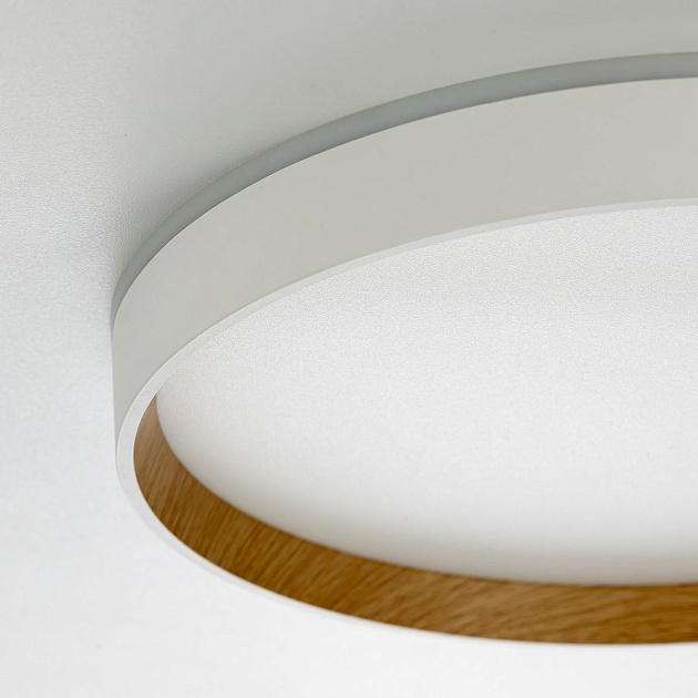 Потолочный светодиодный светильник Citilux Etalon CL750320R Фото № 8