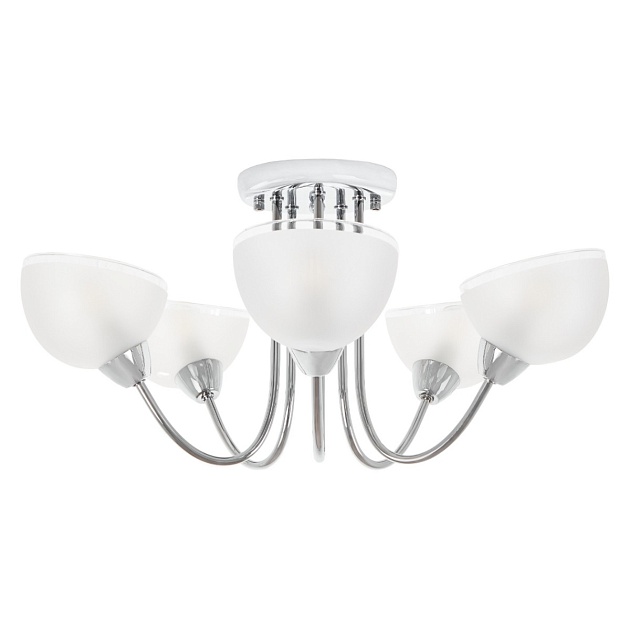 Потолочная люстра MyFar Ekaterina MR1291-5C Фото № 4