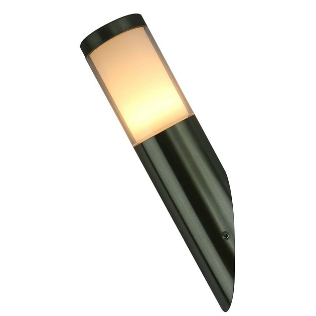 Уличный настенный светильник Arte Lamp Paletto A8262AL-1SS Фото № 1