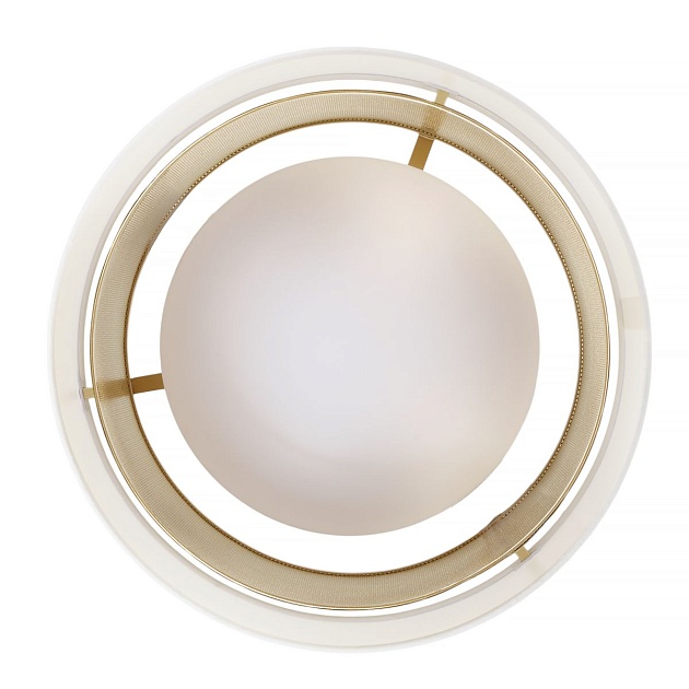 Потолочный светодиодный светильник MyFar Anders MR2370-1CL изображение 4 Потолочный светодиодный светильник MyFar Anders MR2370-1CL Фото № 4