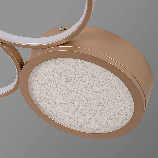 Потолочный светодиодный светильник F-Promo Campus 4681-3C Фото № 3