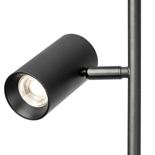 Торшер Citilux CL809011N Фото № 7