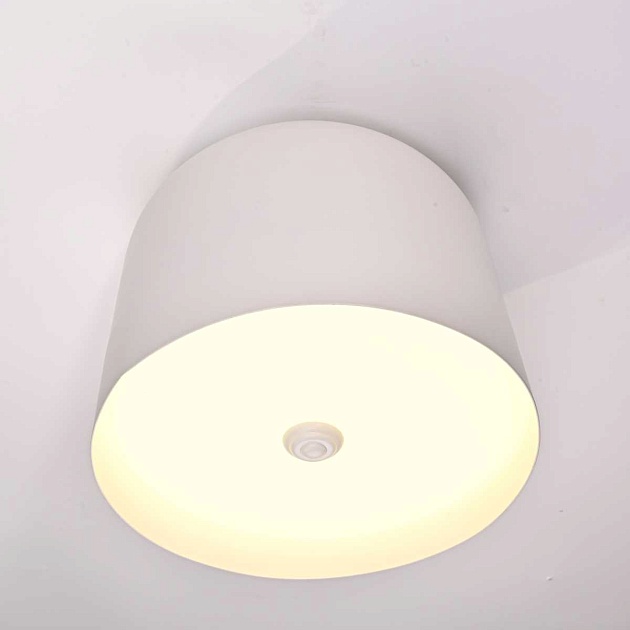 Потолочный светильник Imperium Loft Cylinder 101495-26 Фото № 12