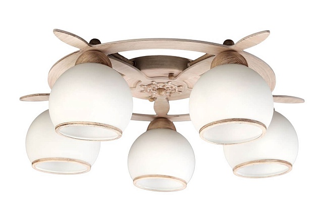 Потолочная люстра Omnilux OML-50517-05 Фото № 1