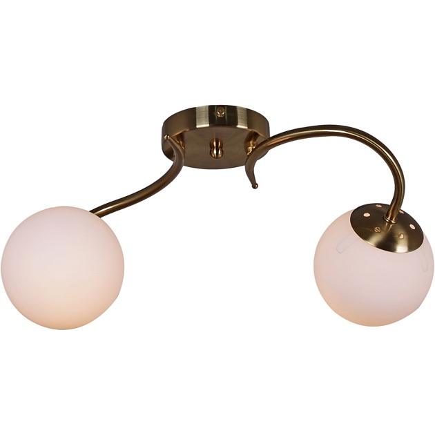 Потолочный светильник Reluce 81724-0.3-02 Фото № 1