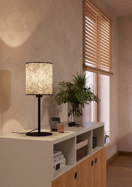 Настольная лампа Eglo Butterburn 43938 Фото № 5